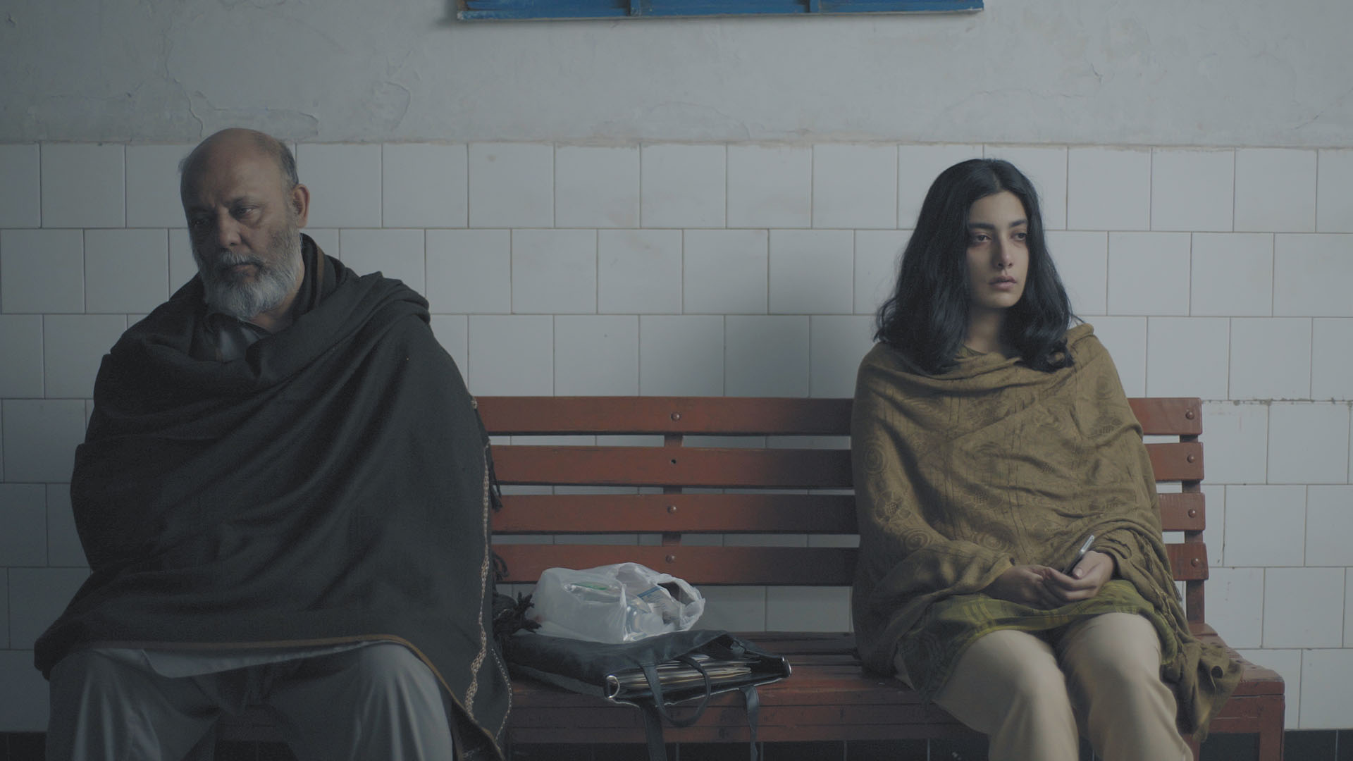 Hayat Gösterisi  görsel 1